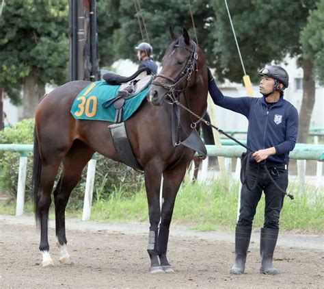 【今週の注目新馬】母はアパパネ、アスパルディーコは〝お嬢さま育ち〟 サンスポzbat