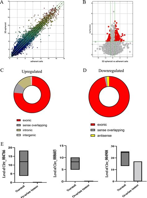 Distributions Of Circrnas In Human Chromosomes In Ovarian Cancer Stem