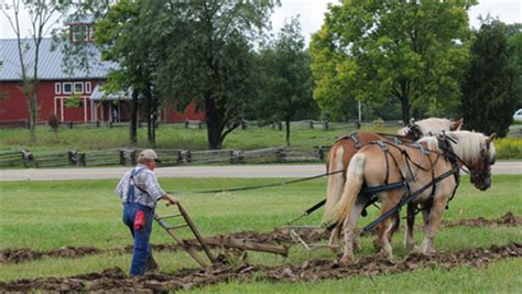 Draft Horse Days & United States Plowing Contest