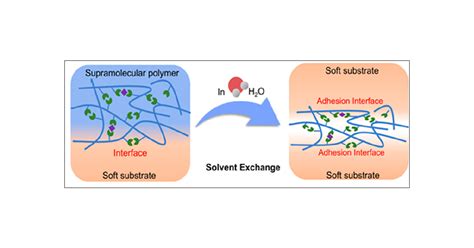 On Site Supramolecular Adhesion To Wet And Soft Surfaces Via Solvent