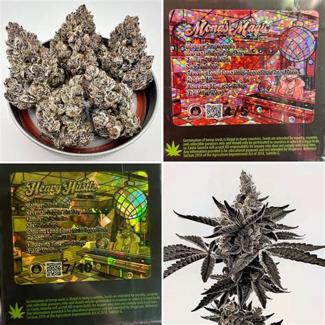 North Atlantic Seed Company