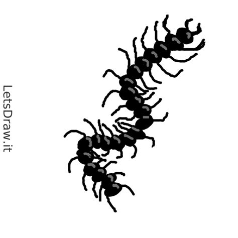 How To Draw Centipede Smdkxa1onpng Letsdrawit