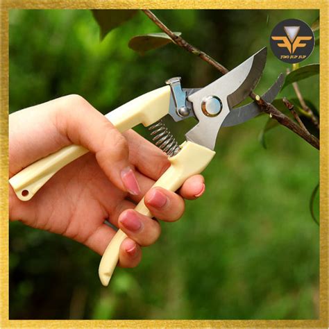 Jual Gunting Dahan Pohon Ranting Bunga Tanaman Pruning Shears Gunting