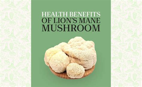 Health Benefits of Lion’s Mane Mushroom - Flow Shroom