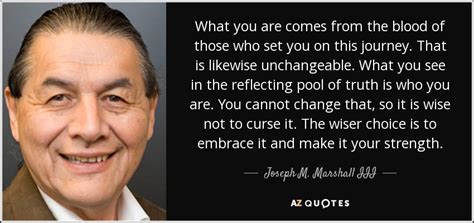 Joseph M Marshall Iii Quote What You Are Comes From The Blood Of