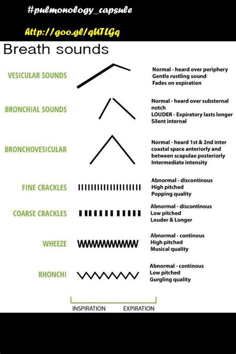 Breath Sounds Nursing School Tips Nursing Assessment Nursing School