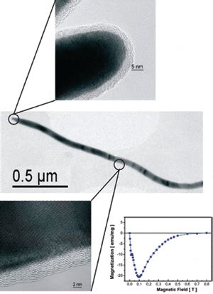 Carbon Nanotubes Encapsulating Superconducting Single Crystalline Tin