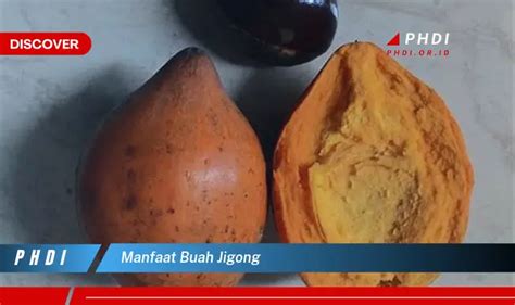 Ketahui Manfaat Buah Jigong Yang Bikin Kamu Penasaran