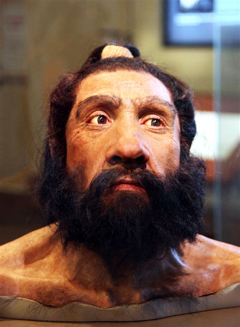 Why Homo Sapiens Survived And Other Hominins Didnt New Historian