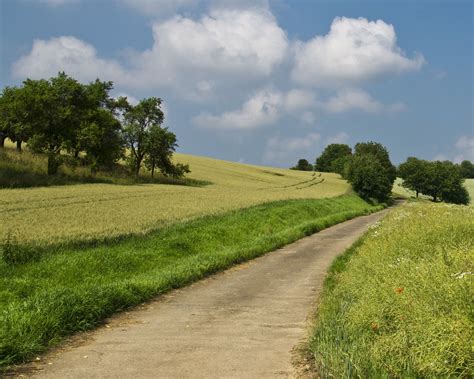 Green Belt Designation | Hawkes Architecture