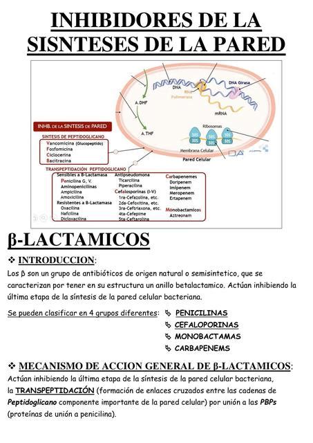 Antibióticos Betalactámico Antibióticos Farmacia uDocz