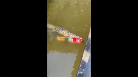 VÍDEO jogador de futebol é devorado por crocodilo na Costa Rica