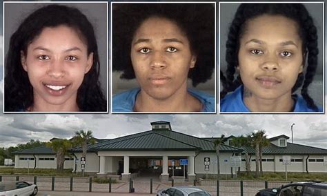 Three Nude Women Air Drying At A Florida Rest Stop Led Police On A Series Of High Speed