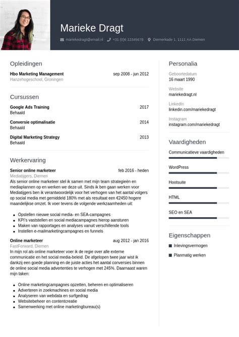 Cv Voorbeeld Online Marketeer Cvwizard