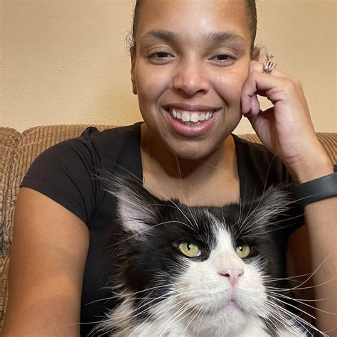 House of Maine Coons - Maine Coon Finder