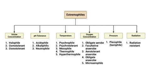 Extremophiles - Definition, Classification, Examples - Biology Notes Online