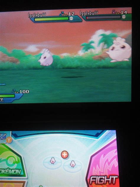 [7] Almost missed this shiny Igglybuff at 360 SOS calls : r/ShinyPokemon