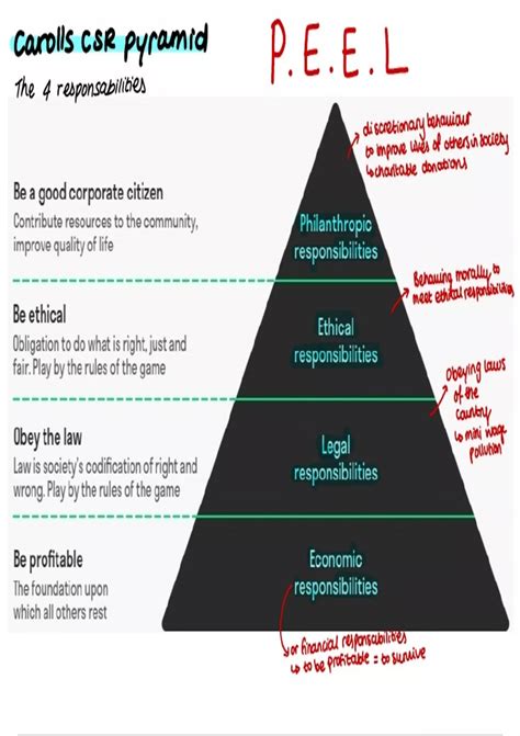 Summary Carroll's CSR Pyramid-The 4 Responsibilities Notes - Unit 3 ...