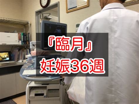 【妊婦健診】臨月を迎えました！（妊娠36週2500g） 京都府宮津市 理美容室 Ddy Hair イッチー（市田智大）の毎日ブログ