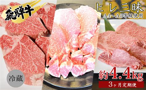 飛騨牛 ヒレ三昧 計44kg A4～a5等級使用（3ヶ月定期便）｜ふるラボ