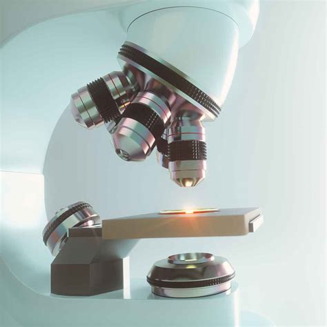 Microscopy and Mushroom Spores | Fullsend OrgaNicks