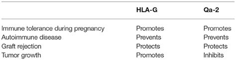 Frontiers New Insights Into The Role Of Qa 2 And Hla G Non Classical