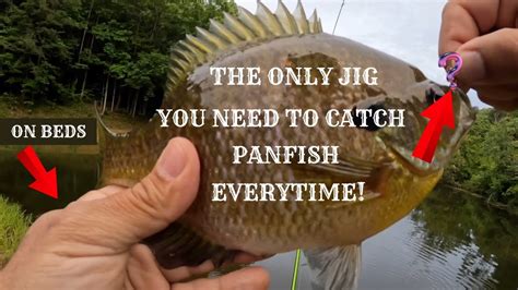 Easy Way To Catch Panfish From The Bank How To Catch Big Bluegill