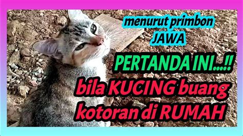 MENURUT KITAB PRIMBON JAWA KUNO INILAH PERTANDA KUCING BUANG KOTORAN DI