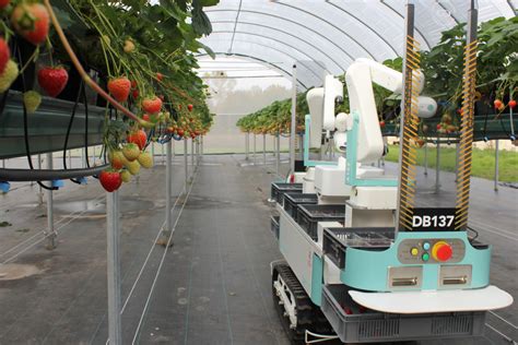 Innovative farming tech is waging a war on global food insecurity