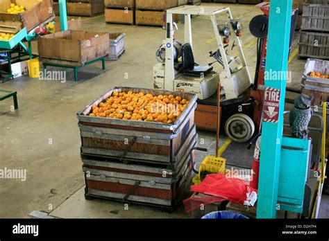 Oranges Factory High Resolution Stock Photography And Images Alamy