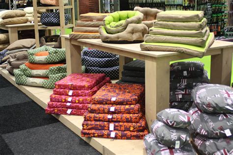 Dono De Franquia De Lingerie Quer Transformar Pet Shop De Luxo Em Nova Rede Artofit