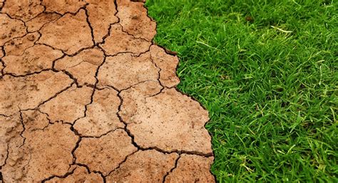 Cambio Climático Y El Negacionismo Interesado