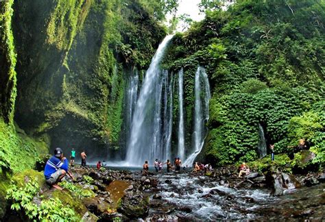 Wisata Air Terjun Tiu Kelep Dan Sendang Gile Lombok Objek Wisata Air