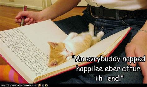 Best Bedtime Story Ever Lolcats Lol Cat Memes Funny Cats Funny Cat Pictures With