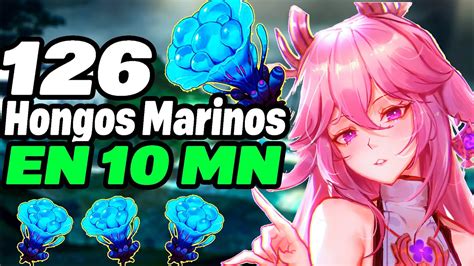 🍄ruta Farmeo Hongos Marinos Genshin Impact Youtube