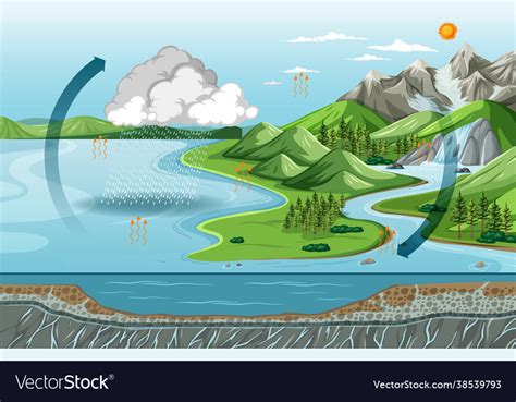 Water cycle diagram evaporation with nature Vector Image