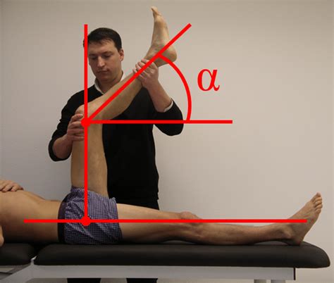 Change In Popliteal Angle And Hamstrings Spasticity During 46 Off