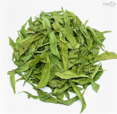 2kg Neem Leafs Neem Leaves Dried Neem Leaf Dried Neem Leaves Cey Ceylon Organic