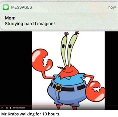 Studying Hard I Imagine Mr Krabs Walking For 10 Hours Ifunny