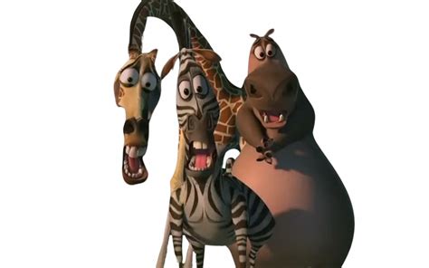 Marty Gloria And Melman By Dracoawesomeness On Deviantart