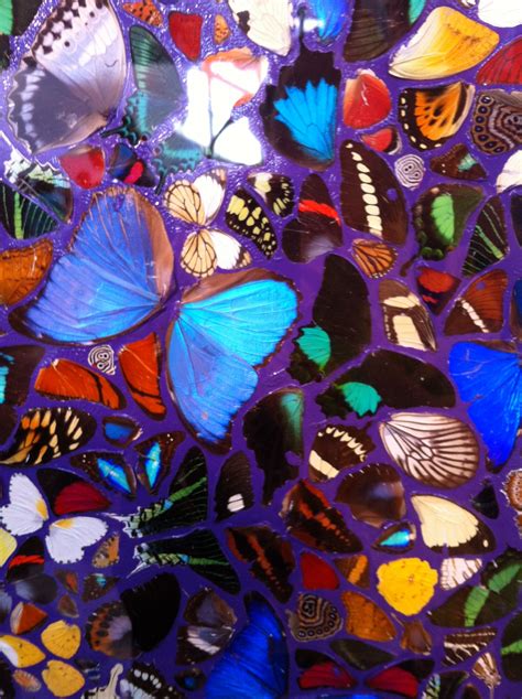 Real Butterflies By Damien Hirst At Carriageworks 2013 Art Fair Photo