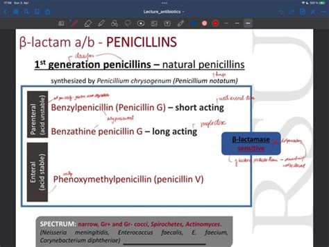 Antibiotics Flashcards Quizlet