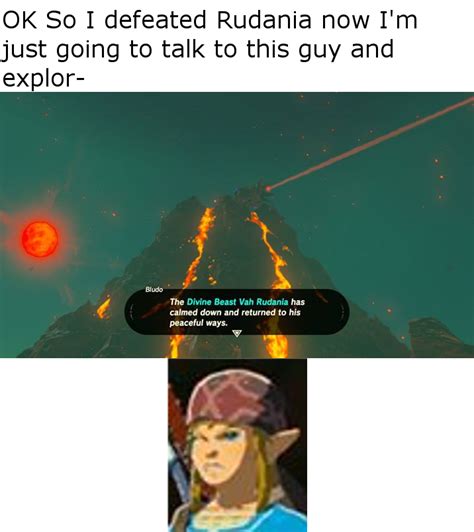 Princess Zelda BOTW Meme