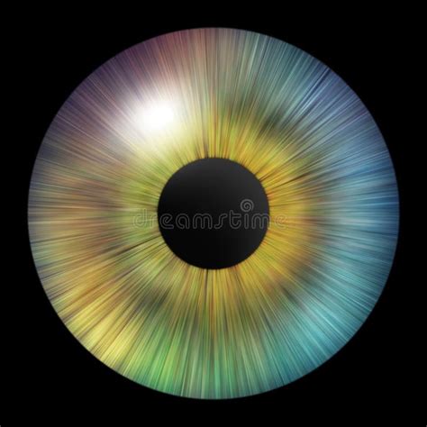 Iris Of The Eye Iris Of The Human Eye Illustration Multicolored Eye