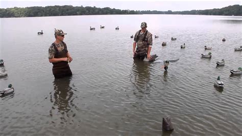 Decoy Spreads For Ducks