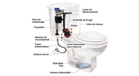 Comment Chasser Les Probl Mes Courants Avec La Toilette Rona