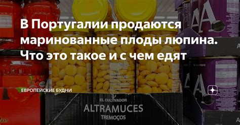 В Португалии продаются маринованные плоды люпина Что это такое и с чем