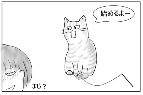 目で楽しむ 宮沢賢治の世界 猫とビー玉