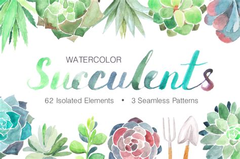 Watercolor Succulents Collection By Larysa Zabrotskaya Thehungryjpeg