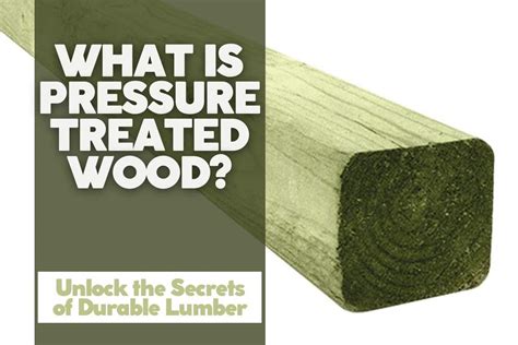 What Is Pressure Treated Wood Unlock The Secrets Of Durable Wood